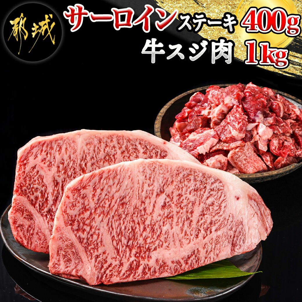 都城産宮崎牛サーロインステーキ400g&牛スジ肉1kg_28-4201