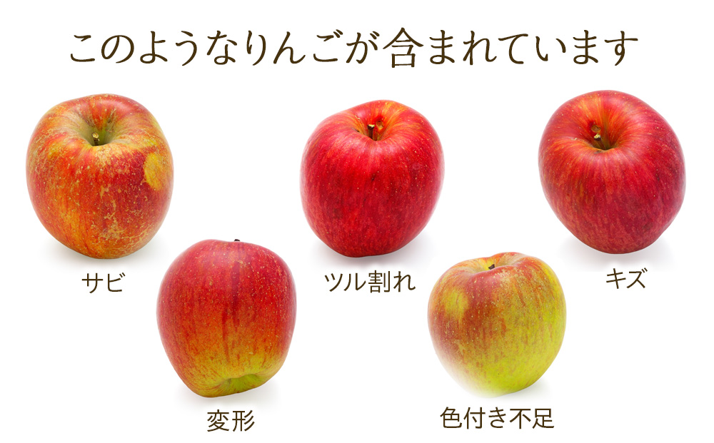 長野県箕輪町のふるさと納税 先行予約 訳あり りんご あいかの香り 約5kg セット 2024年 令和6年度発送分 リンゴ 林檎 長野 フルーツ 果物 信州産 長野県産 特産 産地直送 家庭用 おすすめ