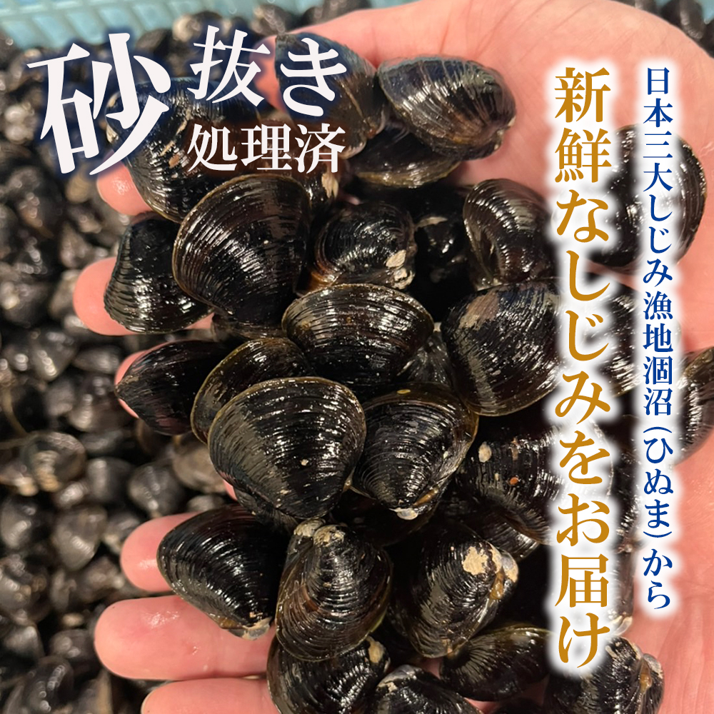 訳あり 涸沼産 中粒 冷凍 シジミ 2.4kg （400g×6袋） しじみ 蜆 大和