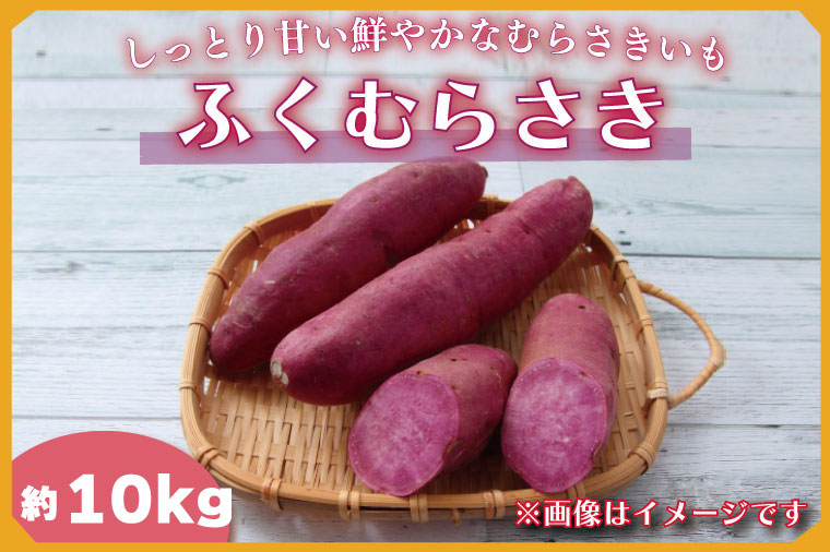 茨城県行方市のふるさと納税 2024年度産 しっとり甘い鮮やかな紫いも 『ふくむらさき』約10kg(BZ-35)