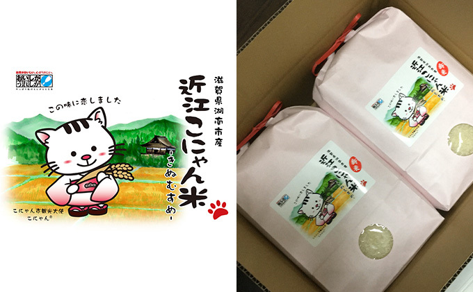 近江米『きぬむすめ』9kg 精米品