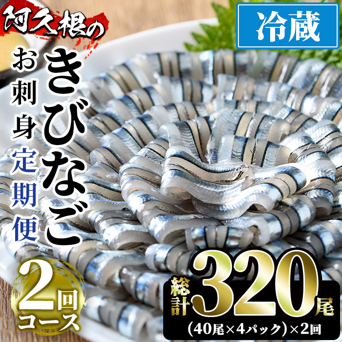 [定期便・全2回(冷蔵便)]鹿児島県産!阿久根のきびなごお刺身セット(40尾×4P×2回) 国産 魚介 おつまみ おかず 頒布会 青魚 子魚 小分け[椎木水産]a-23-4