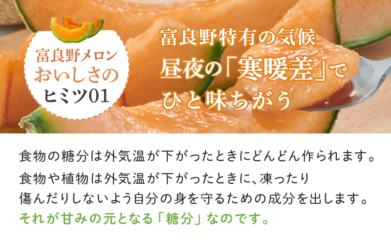 メロン　約4kg〈2玉～4玉入り〉北海道　2024年7月下旬～発送】※訳あり※　北海道富良野市　セゾンのふるさと納税　富良野　富良野市(スイートベジタブルファクトリー)