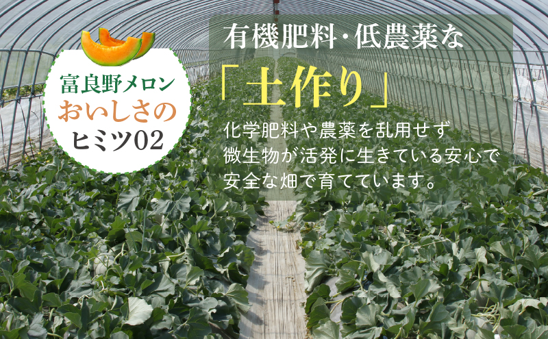 北海道富良野市のふるさと納税 【2025年7月下旬～発送】※訳あり※ 富良野 メロン 約4kg〈2玉～4玉入り〉北海道 富良野市(スイートベジタブルファクトリー) メロン フルーツ 果物 新鮮 甘い 贈り物 ギフト 道産 ジューシー おやつ ふらの ブランド 夏