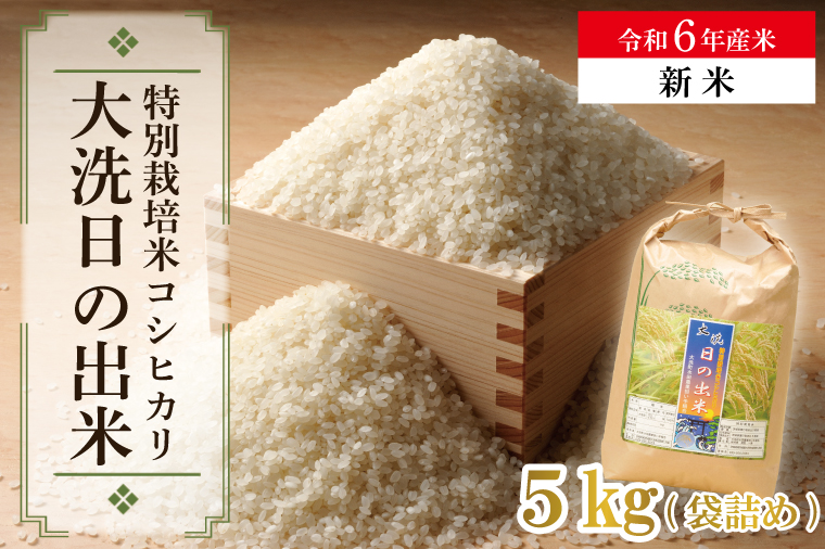 米 5kg 低農薬米 大洗 日の出米 コシヒカリ 令和5年産 特別栽培米 コメ こめ 送料無料