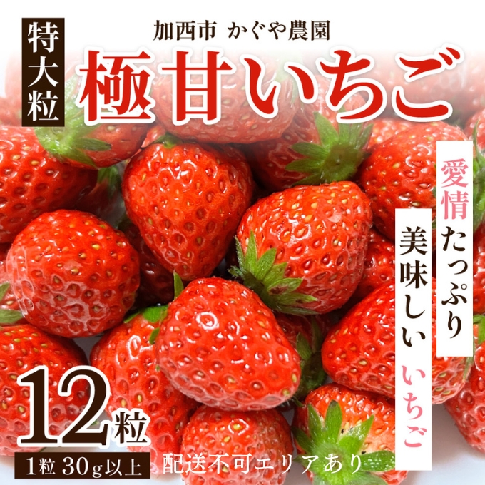 かぐや農園の極甘 いちご 特大粒 12粒（兵庫県加西市） ふるさと納税サイト「ふるさとプレミアム」