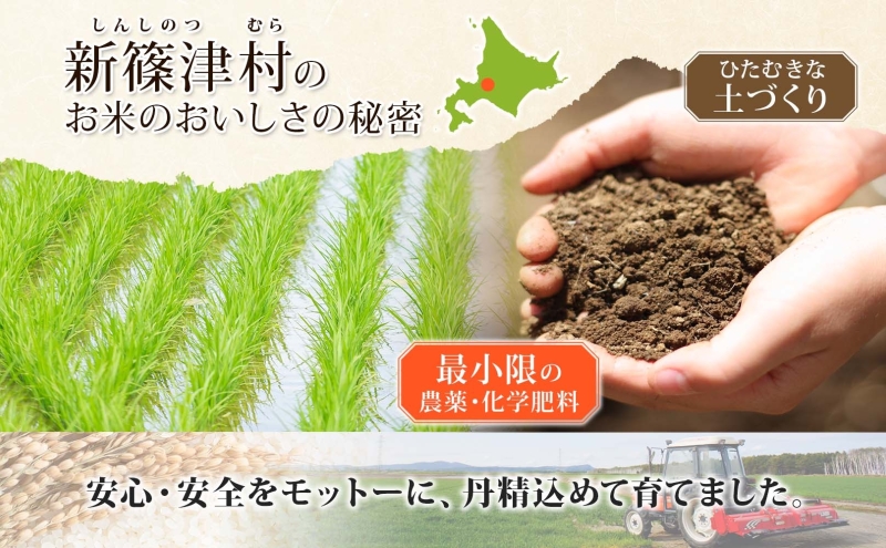 北海道新篠津村のふるさと納税 北海道 定期便 3ヵ月 連続 全3回 R6年産 北海道産 ななつぼし5kg 精米 米 白米 ごはん お米 新米 5キロ 特A 北海道米 ブランド米 道産 ご飯 お取り寄せ まとめ買い 新しのつ米 令和6年産 送料無料