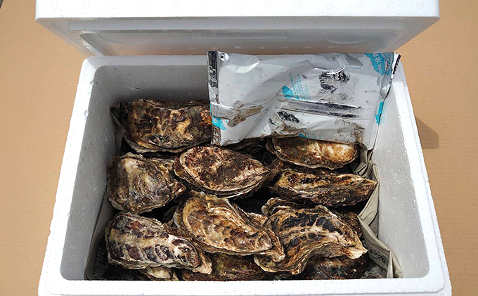 北海道厚岸町のふるさと納税 牡蠣 厚岸のブランド牡蠣 マルえもん Lサイズ 20個 生食用