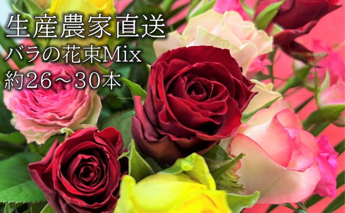 埼玉県上尾市のふるさと納税 生産農家直送 バラ 花束 新鮮 Mix 約26～30本