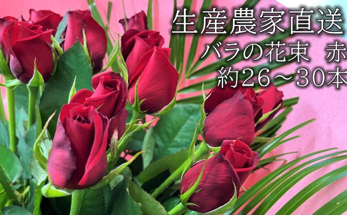 埼玉県上尾市のふるさと納税 生産農家直送 バラ 新鮮 花束 赤 約26～30本