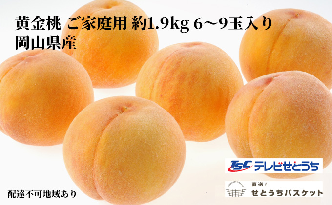 岡山 黄金桃 ご家庭用 約1.9kg 6～9玉入り もも 桃 果物 フルーツ 2023年