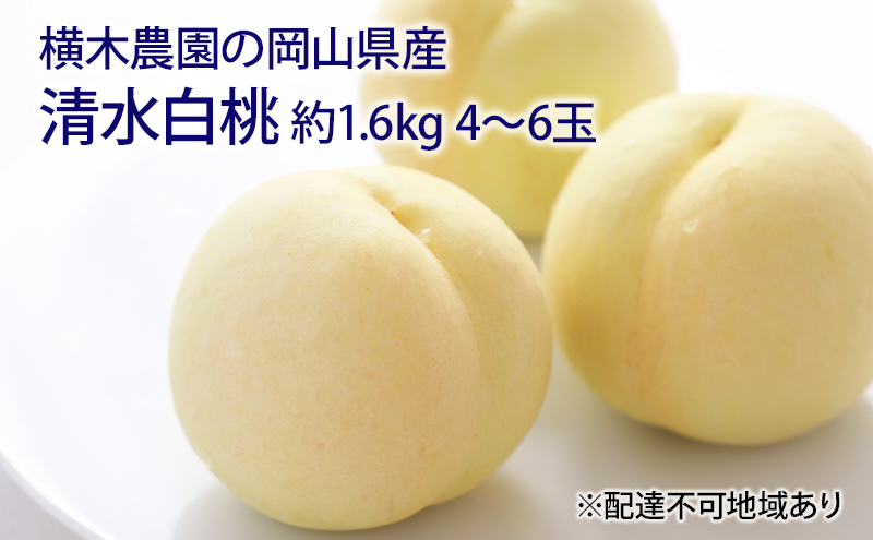 桃 2024年 先行予約 清水 白桃 約1.6kg 4～6玉 もも モモ 岡山県産 国産 フルーツ 果物 ギフト 横木農園