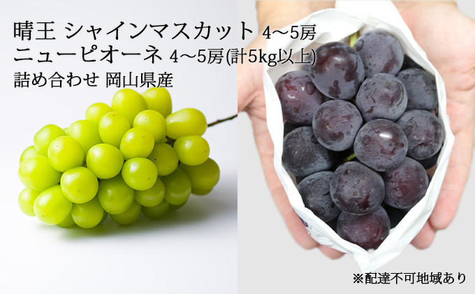 商品説明必読‼️岡山県産‼️シャインマスカット‼️10房‼️4キロ以上