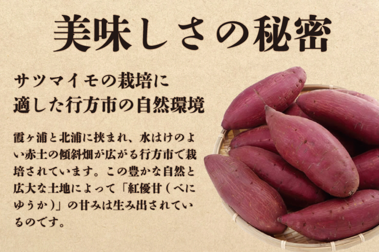 茨城県行方市のふるさと納税 AE-36　【天皇杯受賞】さつま芋使用　紅優甘の平干し芋 約300g（化粧箱入り）