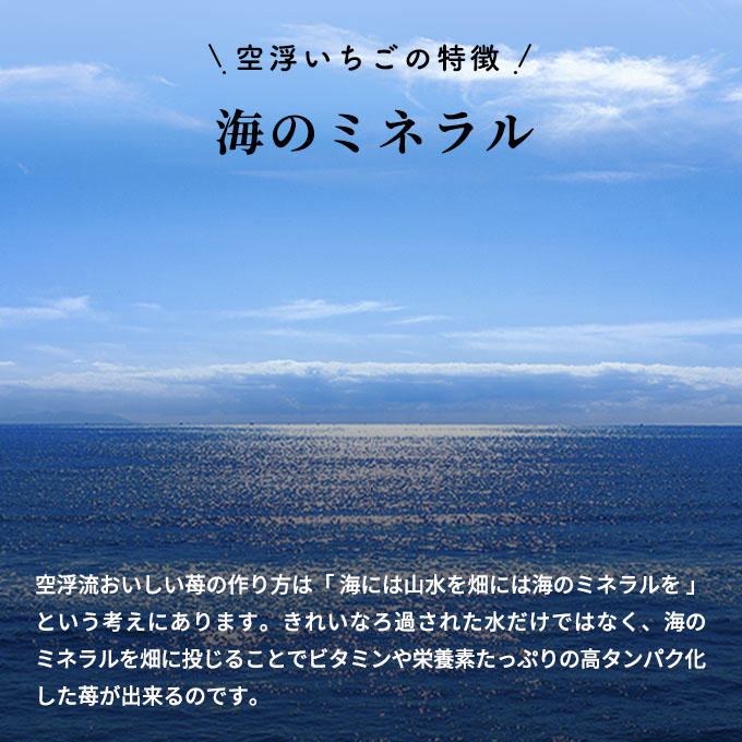 香川県東かがわ市のふるさと納税 空浮いちご 8パック「北海道・沖縄・離島へのお届け不可」