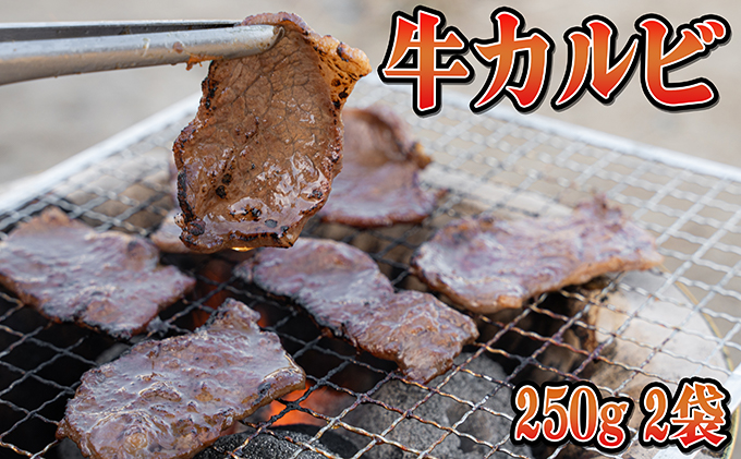 北海道赤平市のふるさと納税 焼肉ジュウジュウ！4種の焼肉セット