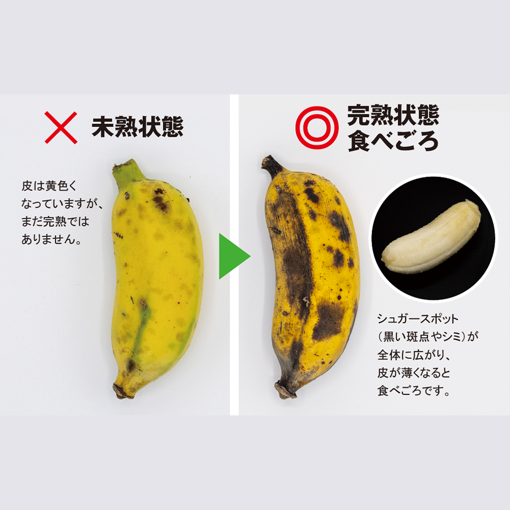 【希少】甘さ濃厚もっちりアップルバナナ3kg|あかみね熱帯フルーツ