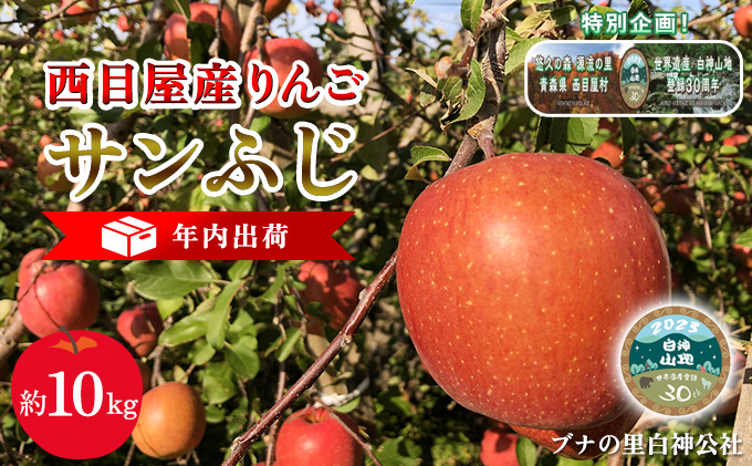 年内出荷:西目屋産りんご サンふじ 約10kg(B-1)