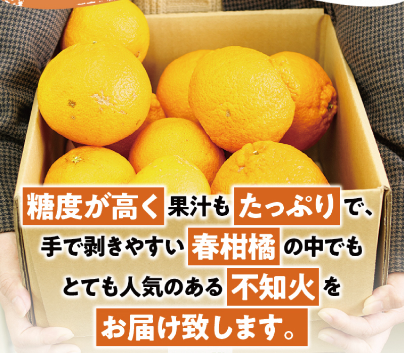 三重県紀宝町のふるさと納税 ご家庭用 訳あり 不知火 3.5kg 9～17玉 大小混合【2025年2月初旬から3月下旬までに順次発送致します。】 / くだもの フルーツ 果物 大容量 不知火 家庭用 人気 みかん 蜜柑 わけあり デコポン 数量限定