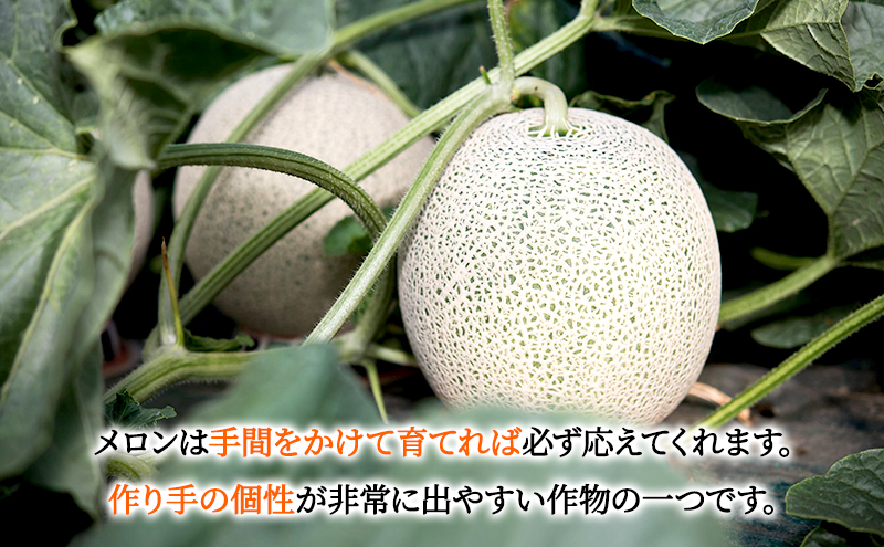 北海道富良野市のふるさと納税 【2025年4～9月 計2回お届け】北海道 富良野産 アスパラガス 1kg×赤肉 メロン 大玉 1玉 贅沢 定期便 (松本農園) 野菜 新鮮 直送 朝採り アスパラガス 道産 北海道 ふらの