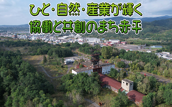 北海道赤平市のふるさと納税 木製壁掛け電波時計
