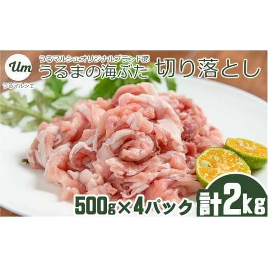 肉/豚肉(人気順 7ページ)の返礼品一覧｜JRE MALLふるさと納税