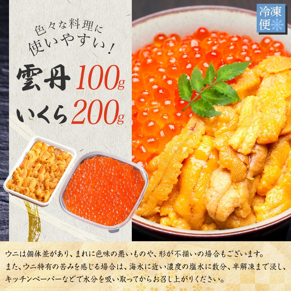 北海道弟子屈町のふるさと納税 3366.  うに 100g いくら醤油漬け 200g ウニ チリ産 冷凍 いくら 二色丼 雲丹 イクラ 海鮮 海鮮丼 うに丼 いくら丼 いくら醤油漬け 送料無料 北海道 弟子屈町