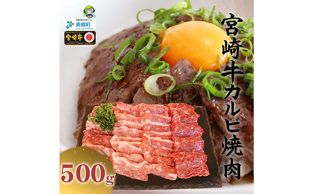 宮崎牛 カルビ 焼肉 500g
