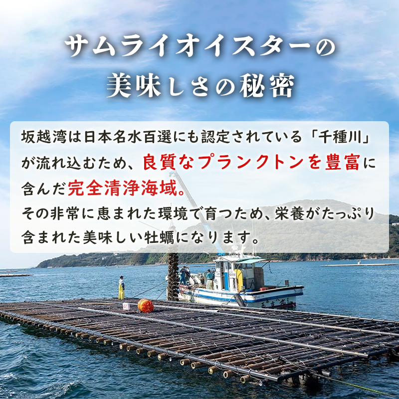 兵庫県赤穂市のふるさと納税 牡蠣 生食 坂越かき 殻付き 20個 牡蠣ナイフ・軍手付き サムライオイスター 生牡蠣 冬牡蠣