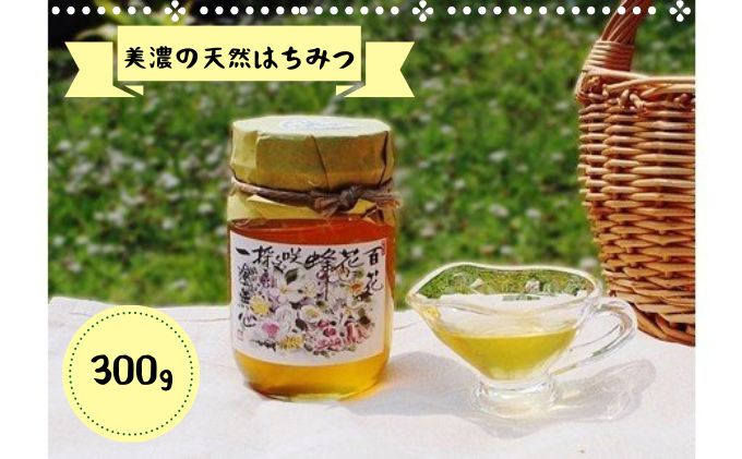 天然蜂蜜 300g クチコミで探すならふるさと納税ニッポン！