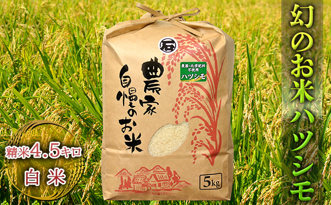 岐阜県美濃市のふるさと納税 幻のお米ハツシモ　4.5kg 精米 白米