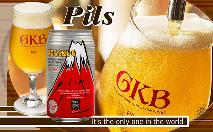 ふるさと納税 御殿場高原ビール ピルス 350ml 24缶セット 静岡県裾野市 - pm.ssp.ma.gov.br