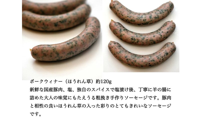愛知県日進市のふるさと納税 ソーセージ 山盛り セット 8種 シャルキュトゥリ・コイデ ウィンナー ウインナー ハム 肉 お肉 豚 サラミ 食べ比べ