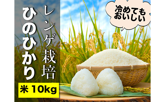 瀬戸内市のおいしい お米 「ひのひかり」 10kg（5kg×2袋）岡山県 瀬戸内市産 石黒農園