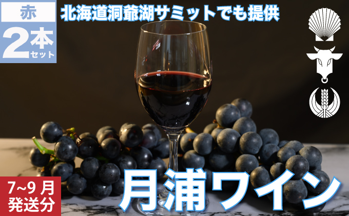 月浦ワイン 赤750ml×2本 7月〜9月配送[冷蔵]赤ワイン