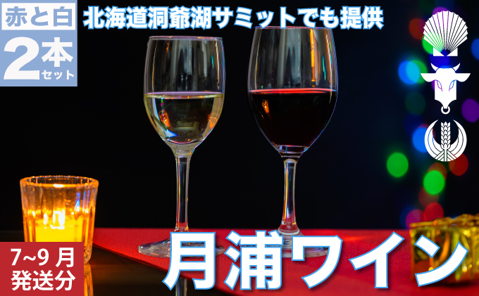 月浦ワイン2本セット(白・赤750ml)7月〜9月配送[冷蔵]白・赤ワイン