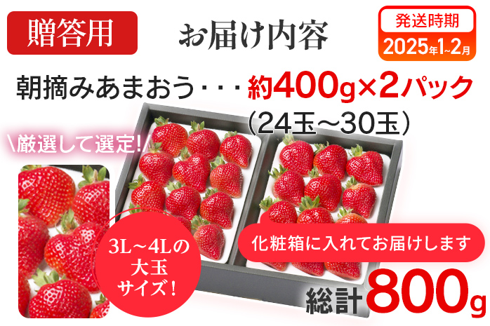 福岡県大木町のふるさと納税 朝摘みあまおう 800g ※2025年1月～2月中順次出荷予定 BD01