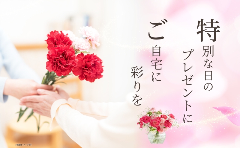 切花2セット多様な花のブーケ