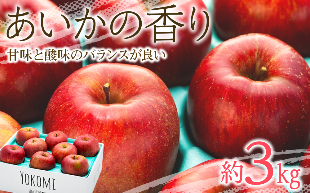 長野県箕輪町のふるさと納税 先行予約 りんご あいかの香り 約3kg セット 2024年 令和6年度発送分 リンゴ 林檎 長野 フルーツ 果物 信州産 長野県産 特産 産地直送 おすすめ