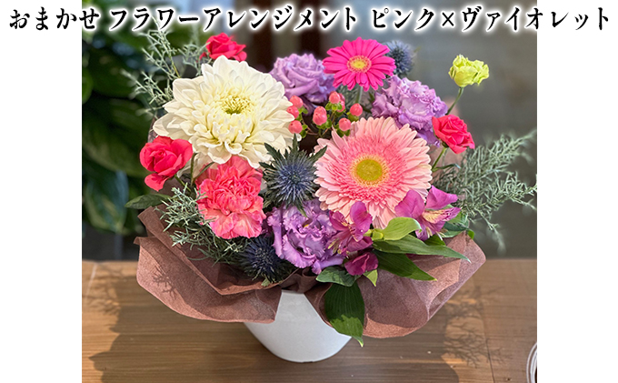 yɌ蒬z܂ t[AWgi sN×@CIbgj ̓ ̓ Mtg j