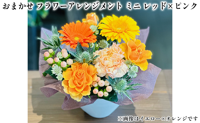 【兵庫県福崎町】おまかせ フラワーアレンジメント ミニ(レッド×ピンク) 母の日 父の日 ギフト お祝い