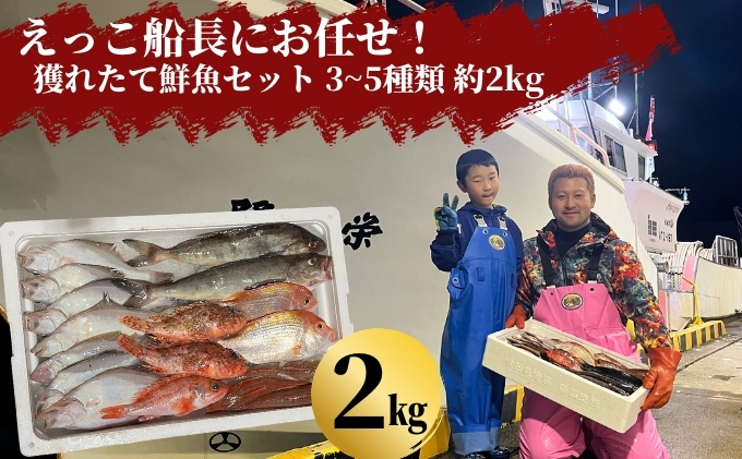【秋田県にかほ市】えっこ船長にお任せ!獲れたて鮮魚セット 3〜5種類 約2kg(鮮魚 詰合せ ボックス)