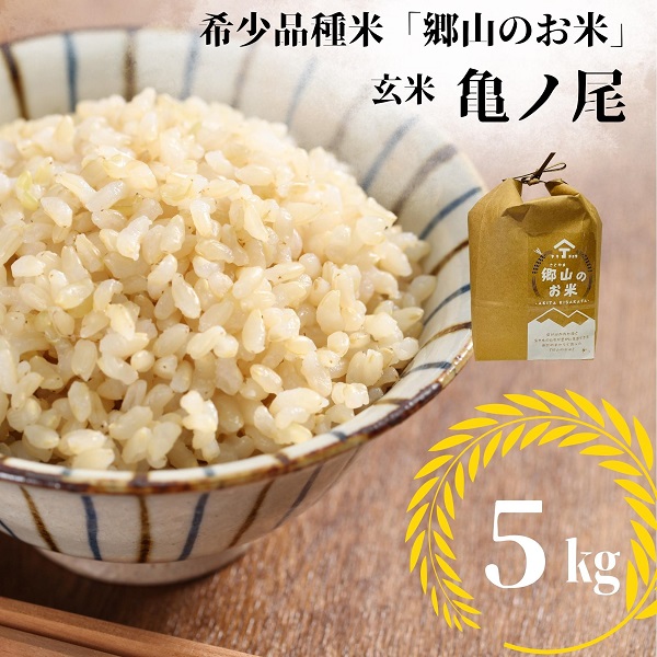 【希少品種米】自家採取　農薬不使用の亀ノ尾「郷山のお米」5kg（玄米）