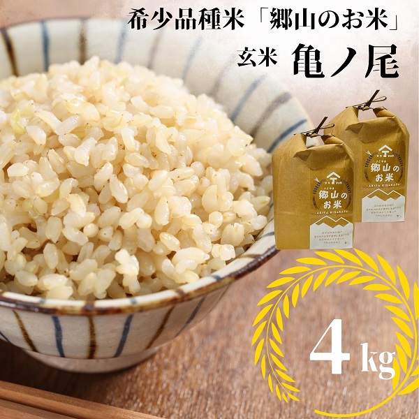 【希少品種米】自家採取　農薬不使用の亀ノ尾「郷山のお米」4kg（玄米）