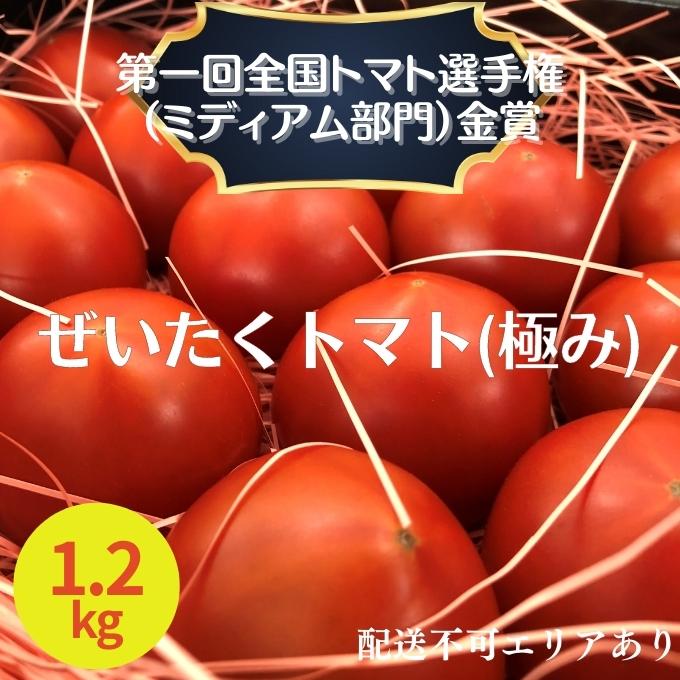 ぜいたく トマト (極み) 1.2kg 第一回全国トマト選手権(ミディアム部門)金賞