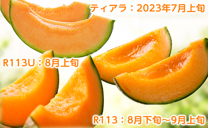 北海道富良野市のふるさと納税 【2025年7～9月連続お届け】3品種 ふらの メロン 定期便 ≪計3玉≫ 北海道 富良野市 (高見農園) メロン フルーツ 果物 新鮮 甘い 贈り物 ギフト 道産 ジューシー おやつ ふらの ブランド 夏