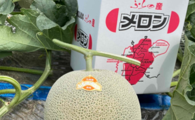 北海道富良野市のふるさと納税 【2025年7～9月連続お届け】3品種 ふらの メロン 定期便 ≪計3玉≫ 北海道 富良野市 (高見農園) メロン フルーツ 果物 新鮮 甘い 贈り物 ギフト 道産 ジューシー おやつ ふらの ブランド 夏