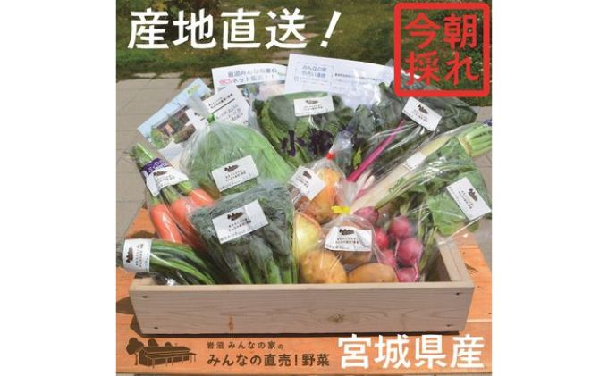 宮城県岩沼市のふるさと納税 採れたて野菜を箱いっぱい詰め込んで♪岩沼みんなの家の「みんなの直売！野菜」セット詰め合わせ