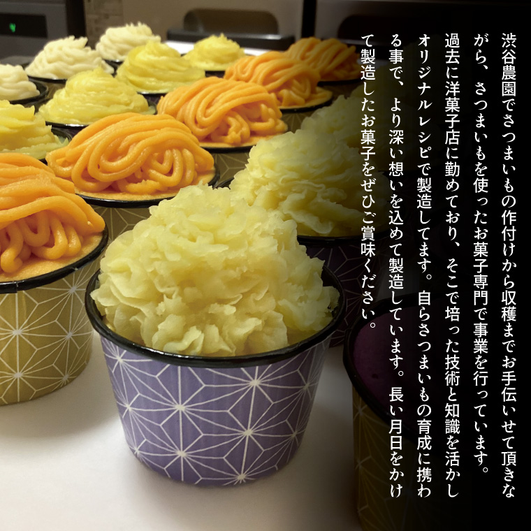 茨城県行方市のふるさと納税 EI-4　焼き菓子・5色のミニモンブラン・行方産焼き芋・2種のモンブランセット