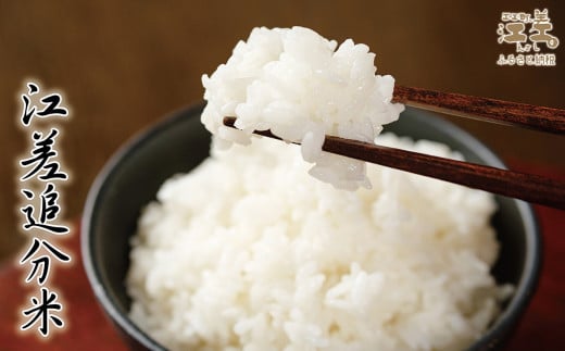 北海道江差町のふるさと納税 【令和6年産新米ふっくりんこ・3か月定期便・配送開始月が選べる】低温保管新鮮米『箱入り娘　ふっくりんこ』　毎月5kg　契約農家栽培　江差追分米　北海道江差町産　ふっくら食感、ここちよい甘さ　北海道のおこめ　精米